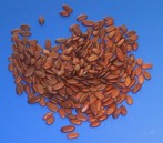 Albizia julibrissin  Samen