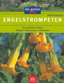 Exotische Nutz und Zierpflanzen ENGELSTROMPETEN