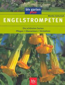 ENGELSTROMPETEN